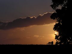 Sonnenuntergang am Deich