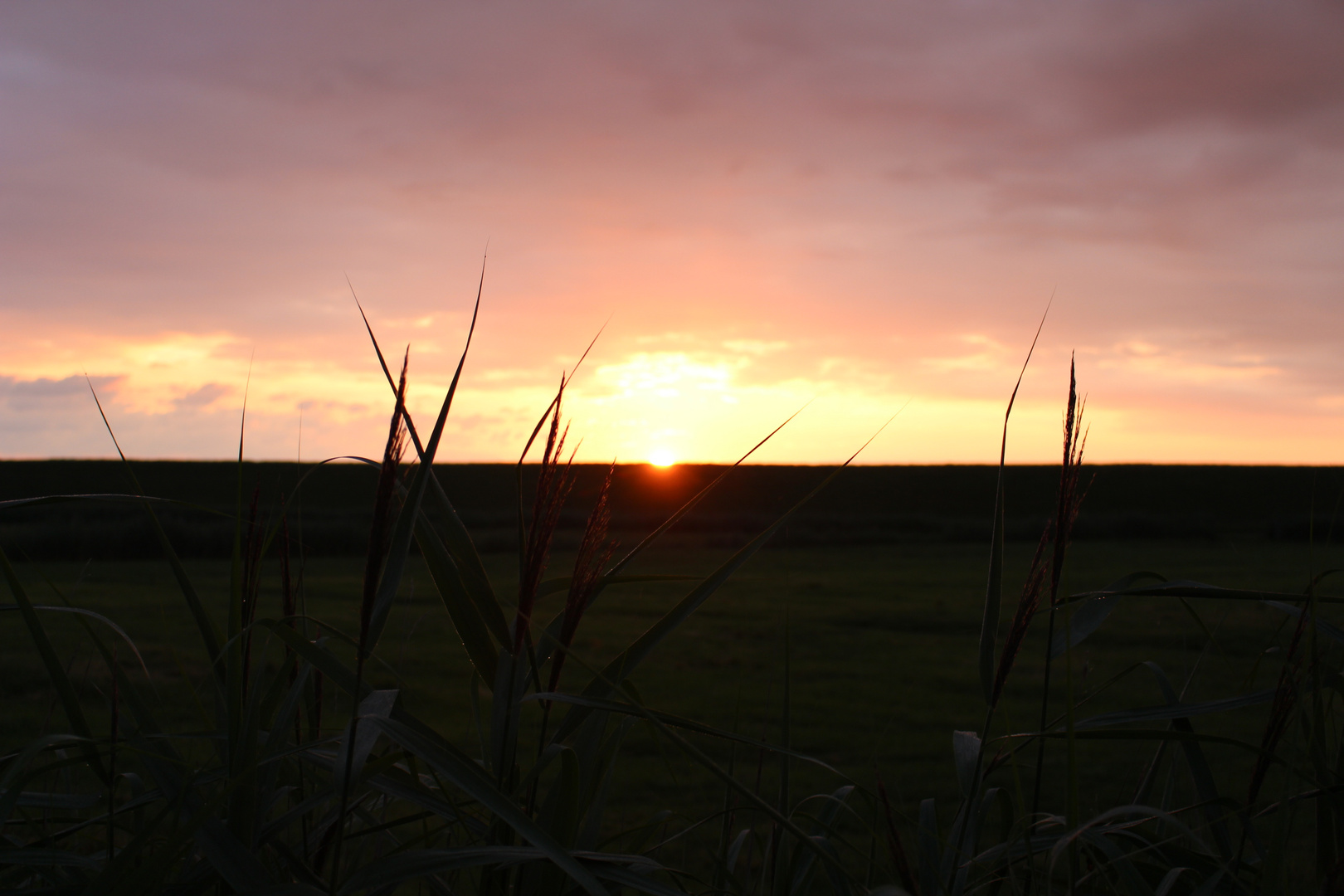 Sonnenuntergang am Deich