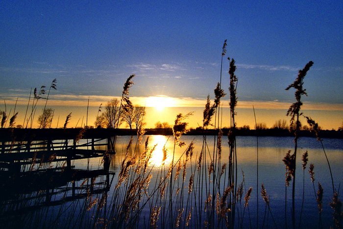 Sonnenuntergang am Deich