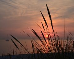 Sonnenuntergang am Deich