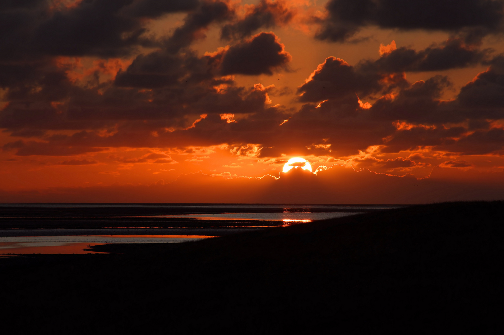 Sonnenuntergang am Deich