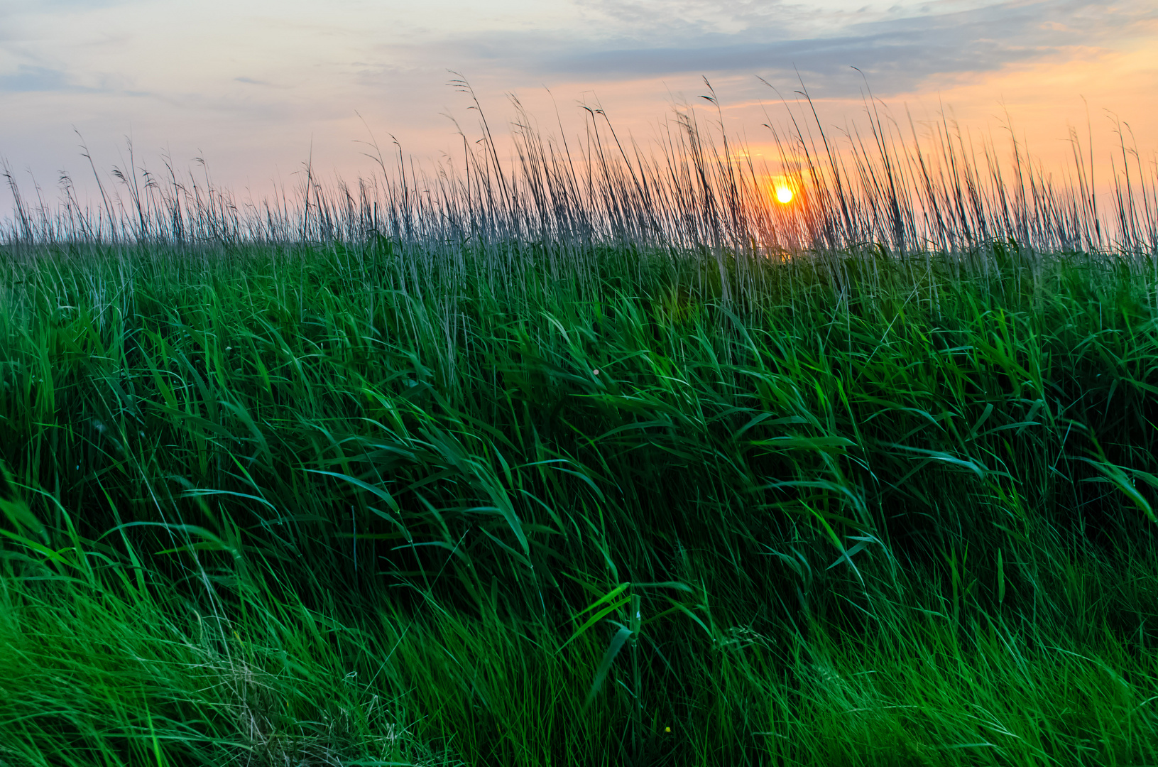 Sonnenuntergang am Deich