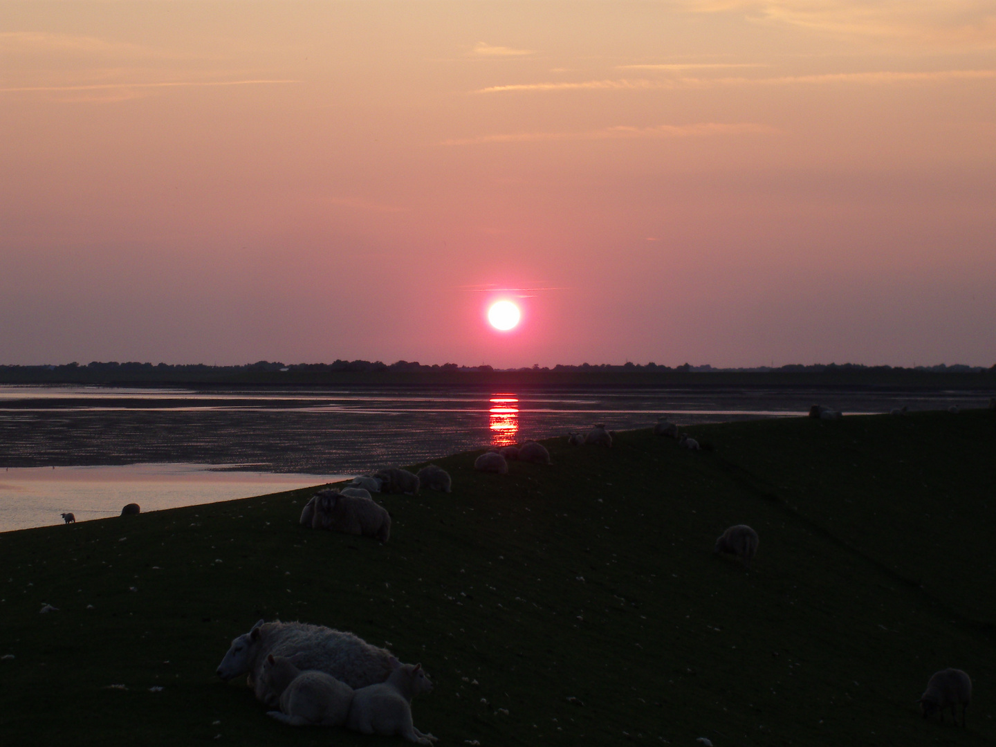 Sonnenuntergang am Deich