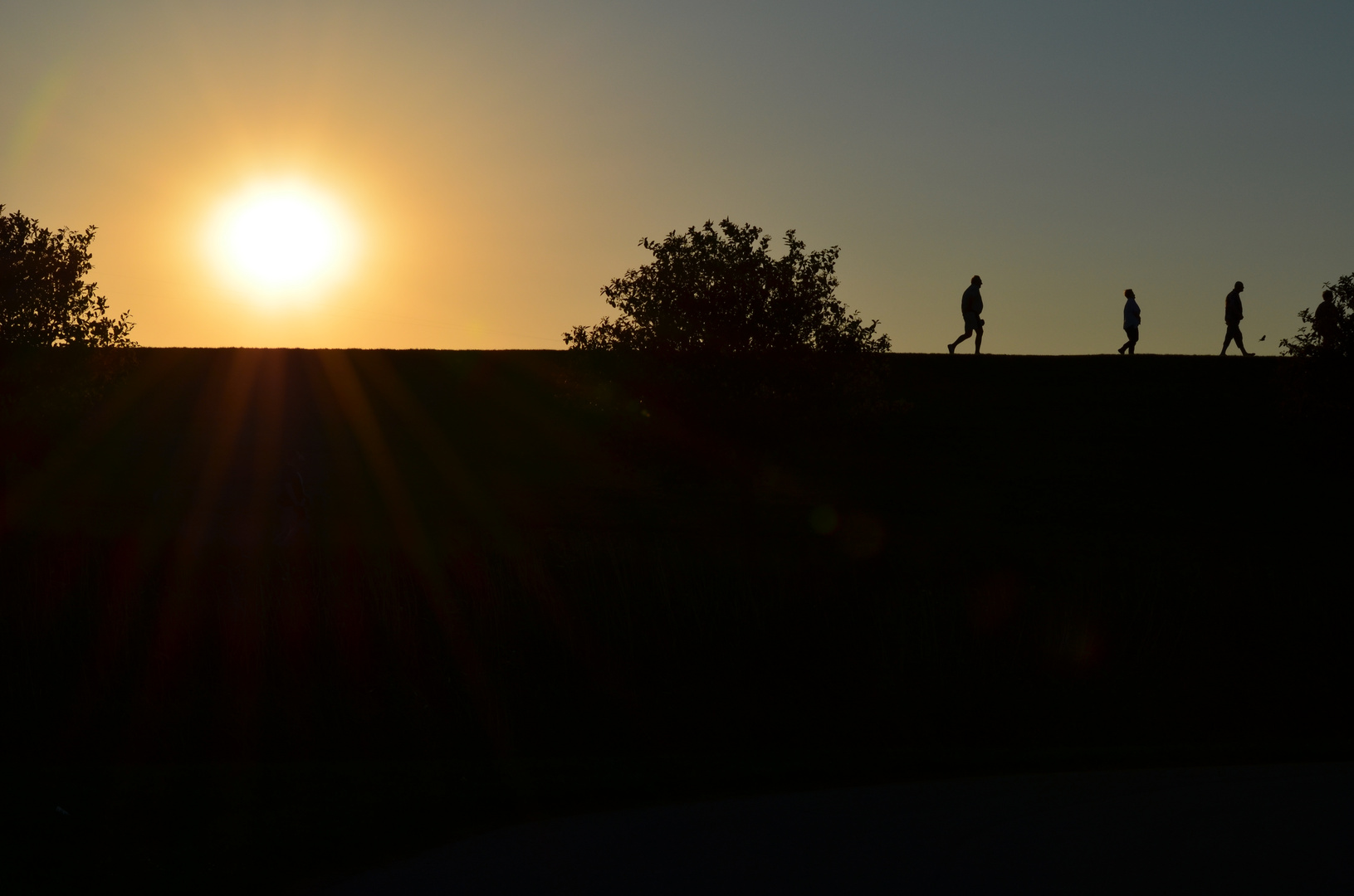 Sonnenuntergang am Deichfuss von Friedrichskoog