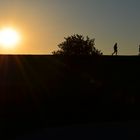 Sonnenuntergang am Deichfuss von Friedrichskoog