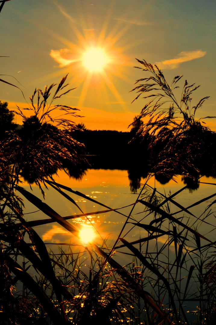 Sonnenuntergang am Dennenloher See in Bayern