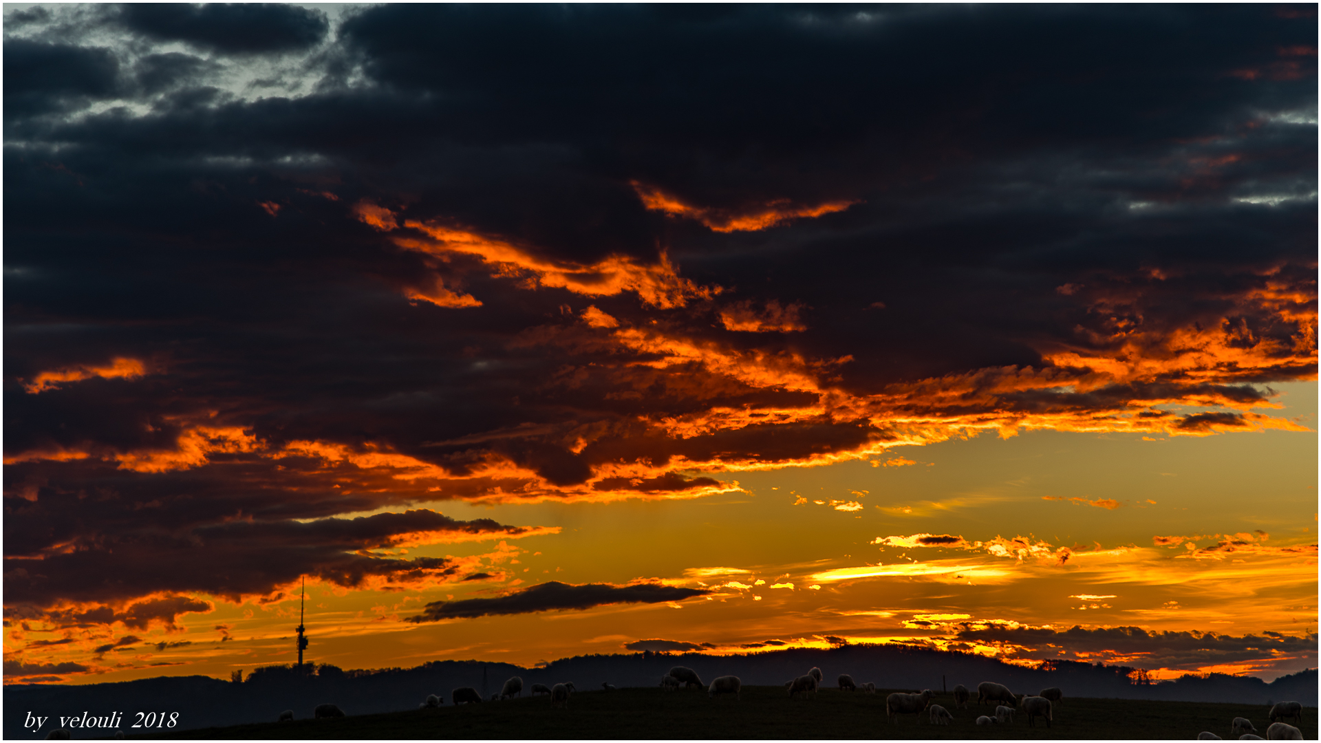 Sonnenuntergang am Dinkelberg