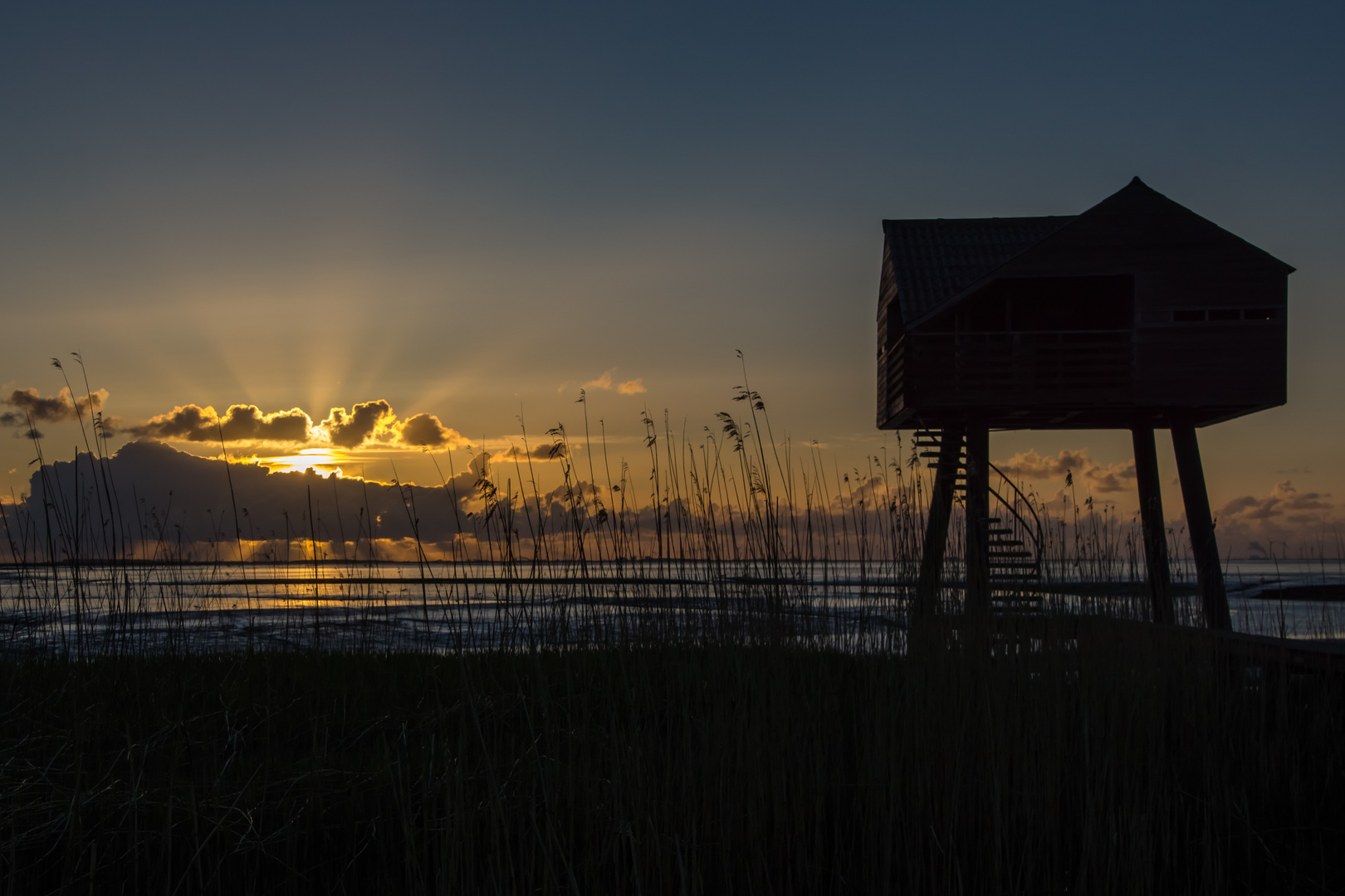 Sonnenuntergang am Dollart