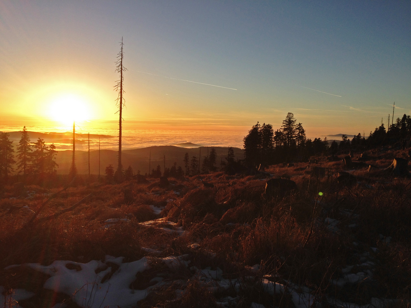 Sonnenuntergang am Dreisessel II