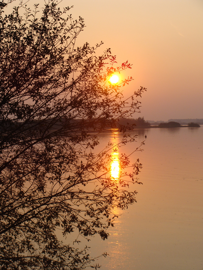 Sonnenuntergang am Dümmer