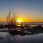 Sonnenuntergang am Dümmer