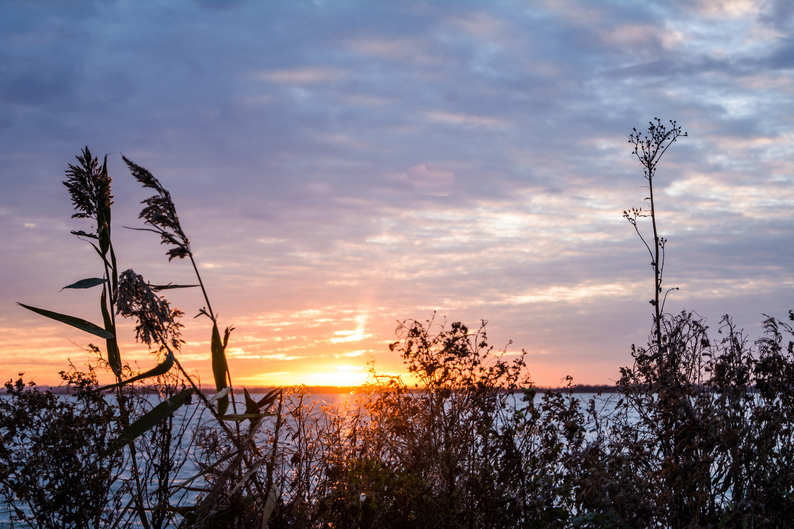 Sonnenuntergang am Dümmer