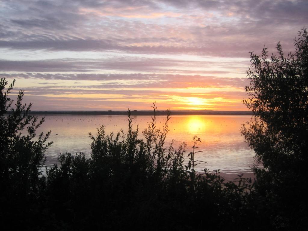 Sonnenuntergang am Dümmer-See