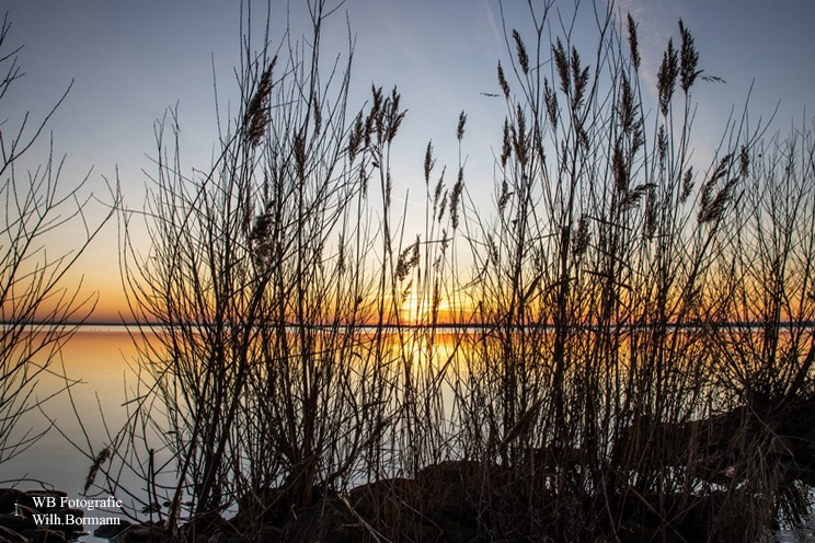 Sonnenuntergang am Dümmer See