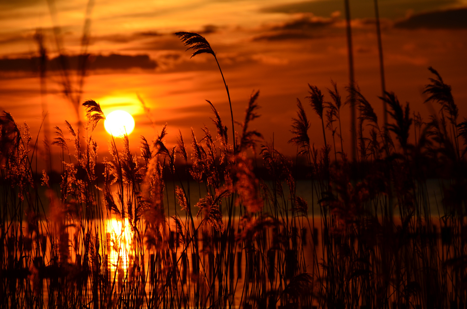 Sonnenuntergang am Dümmer See