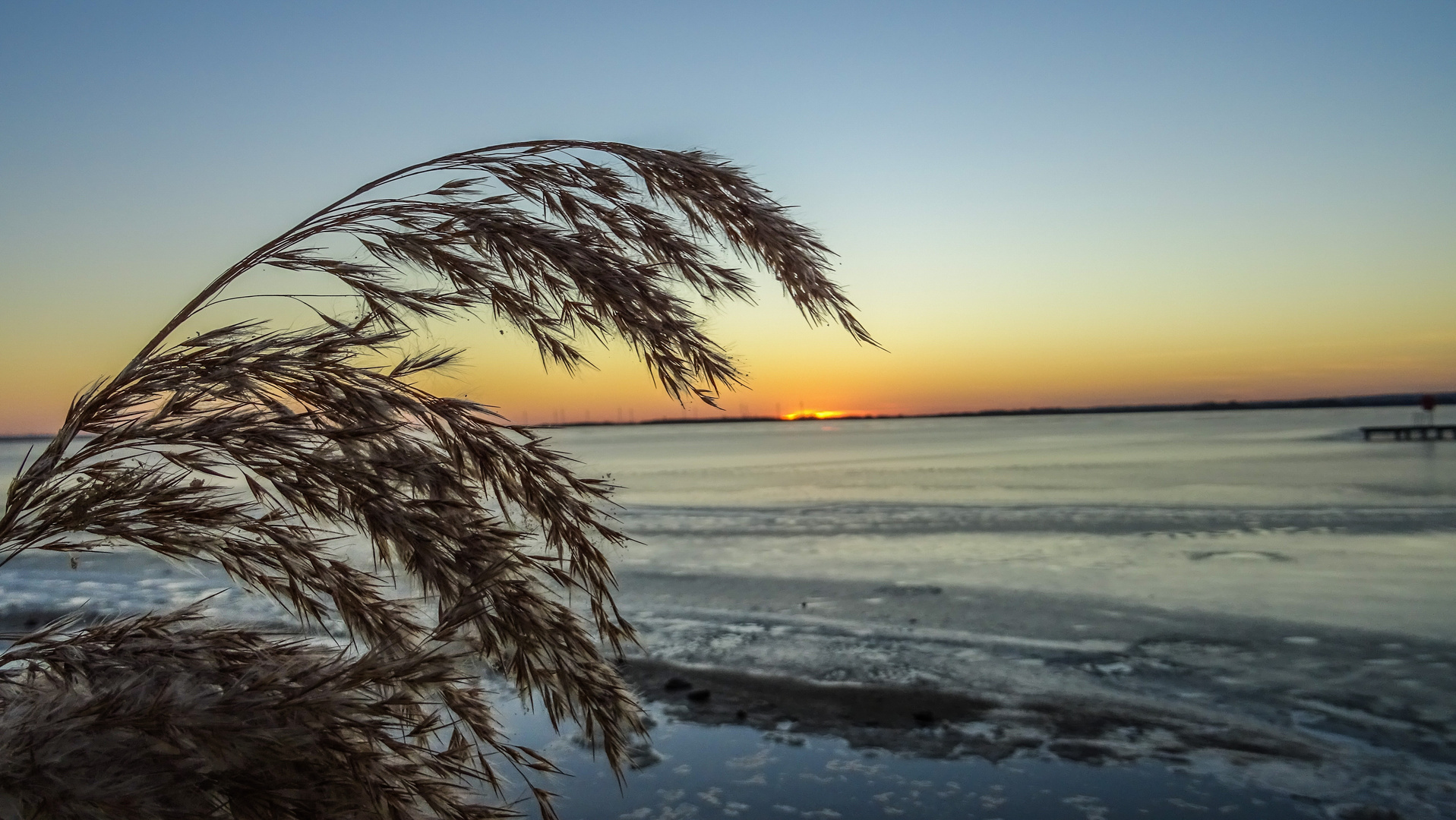 Sonnenuntergang am Dümmer See