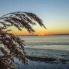 Sonnenuntergang am Dümmer See