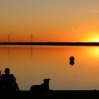 Sonnenuntergang am Dümmer See