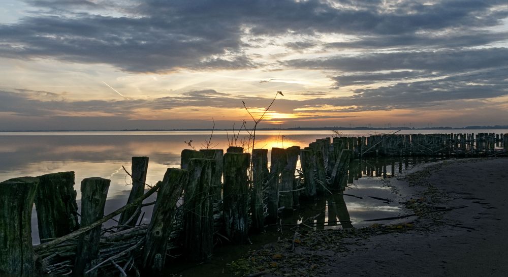 Sonnenuntergang am Dümmer-See