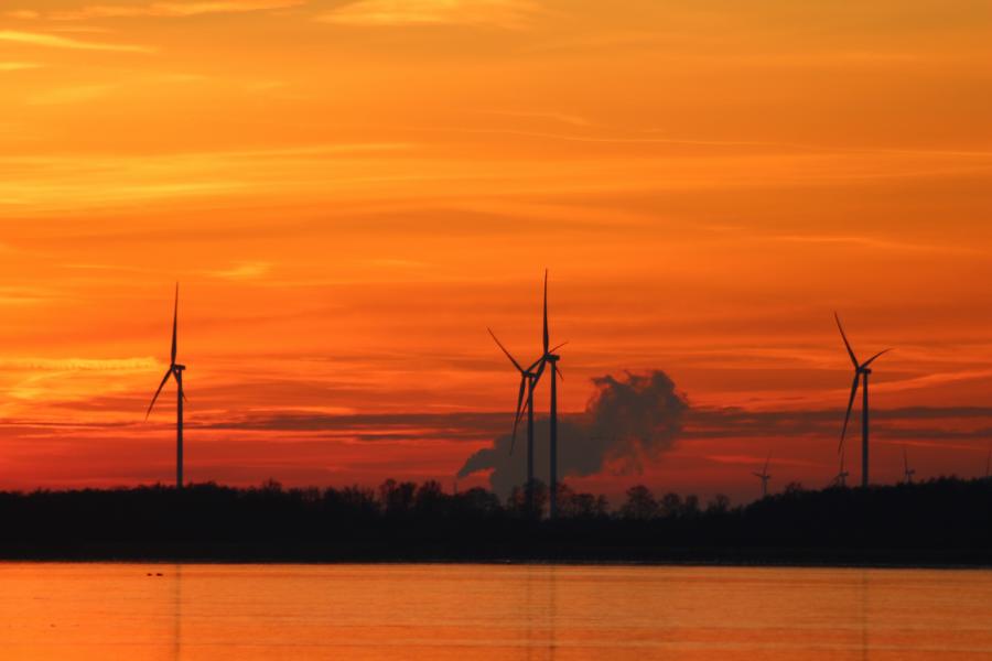 Sonnenuntergang am Dümmer See Januar 2017