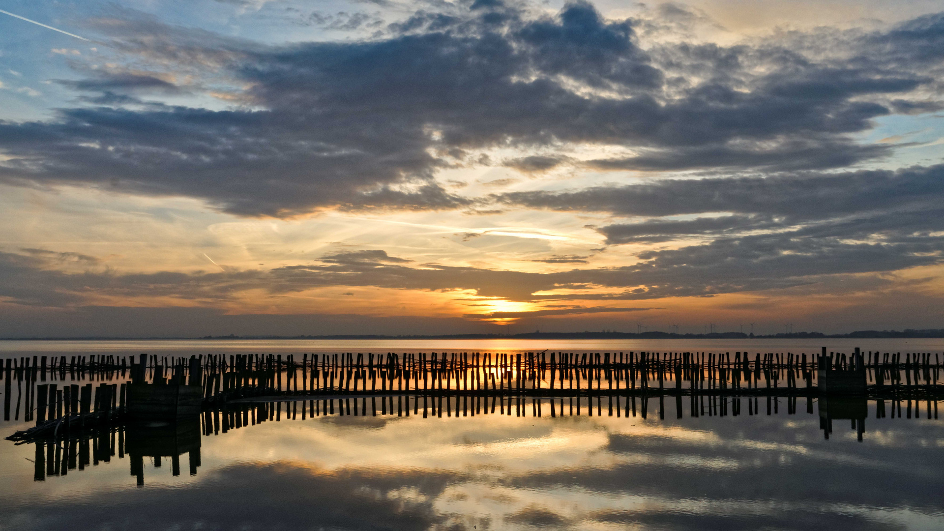 Sonnenuntergang am Dümmersee !