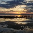 Sonnenuntergang am Dümmersee in Niedersachsen !