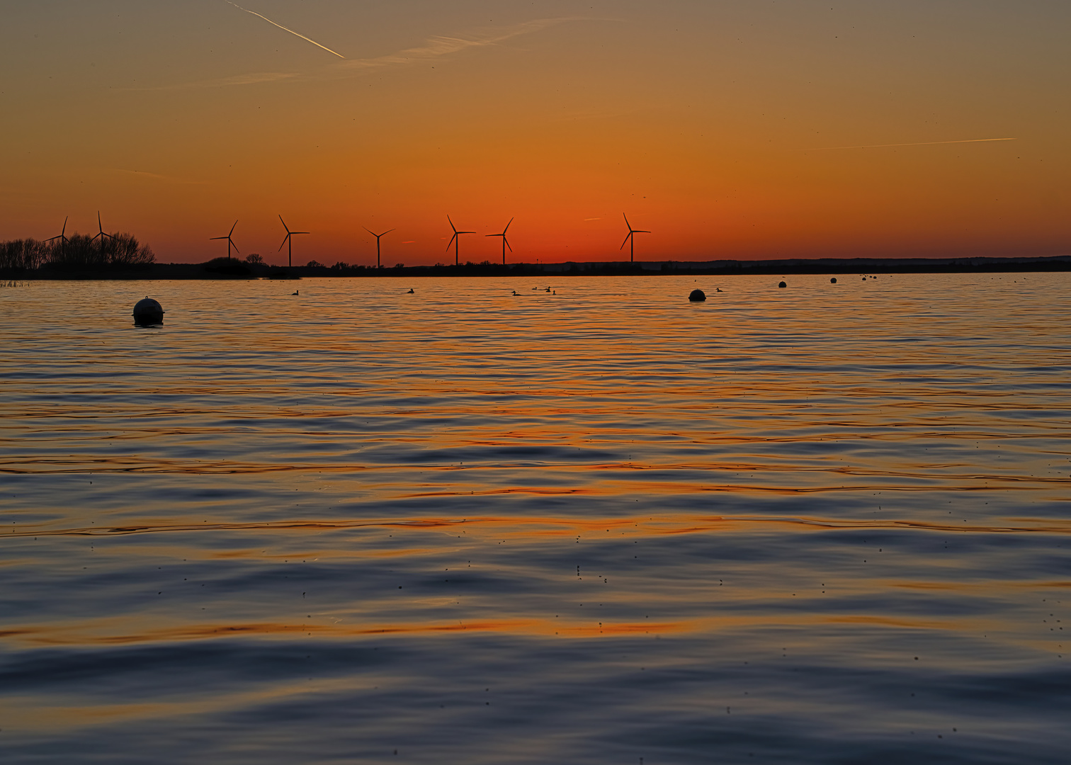 Sonnenuntergang am Dümmer...und weg war sie...