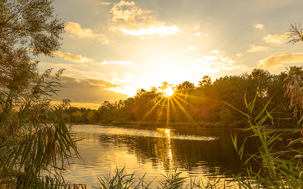 Sonnenuntergang am Dutzendteich