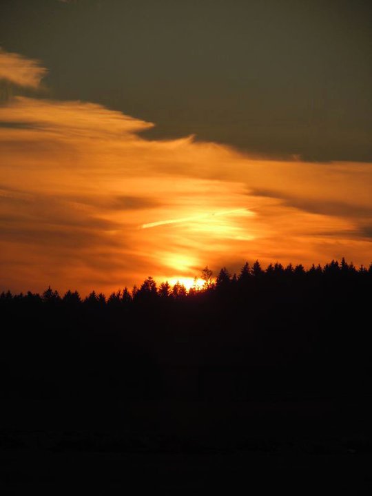 Sonnenuntergang am Elbsee