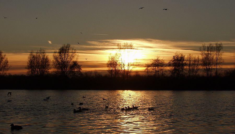 Sonnenuntergang am Elfrathersee (Krefeld)