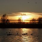 Sonnenuntergang am Elfrathersee (Krefeld)