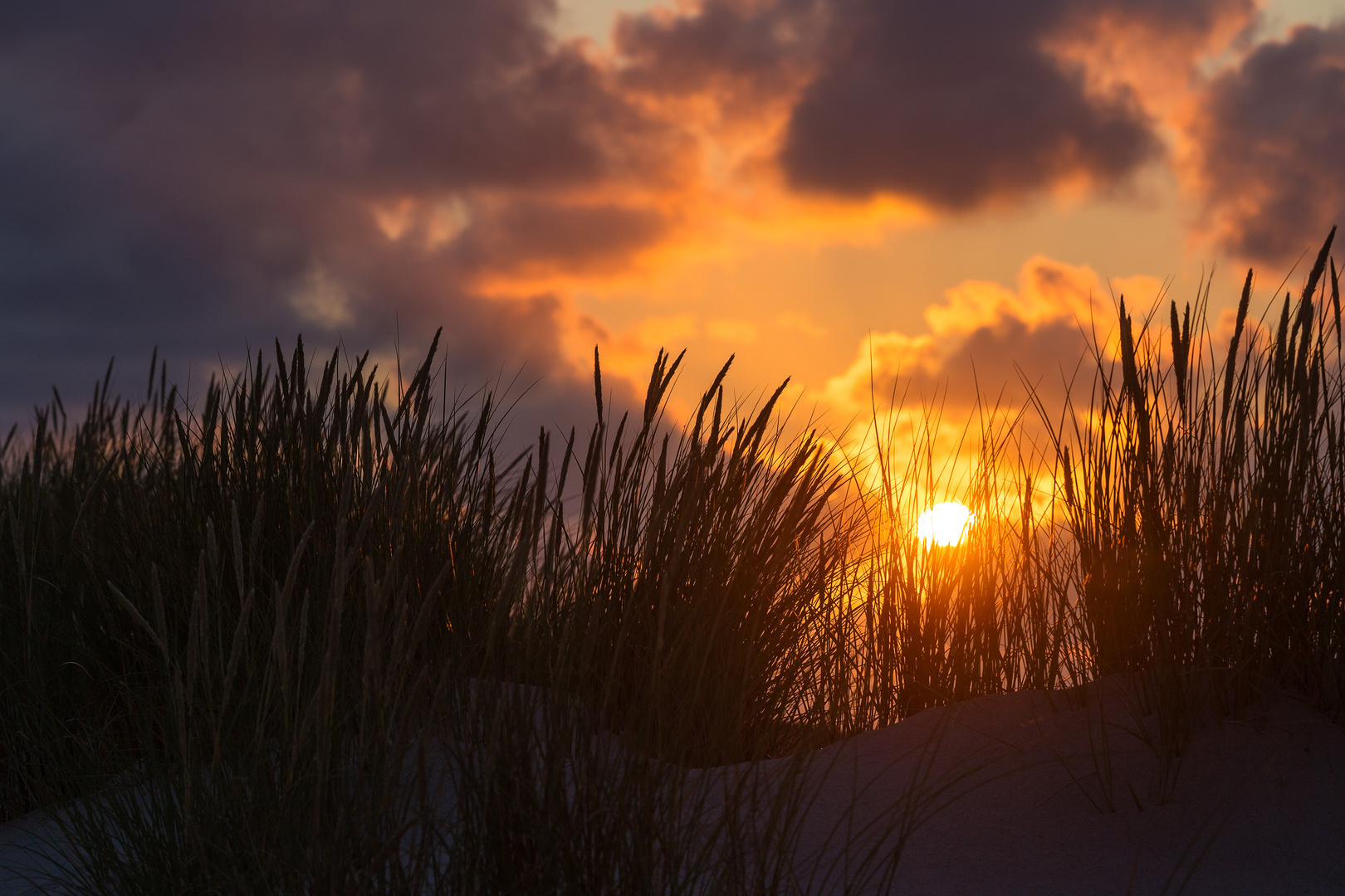 Sonnenuntergang am Ellenbogen - Sylt