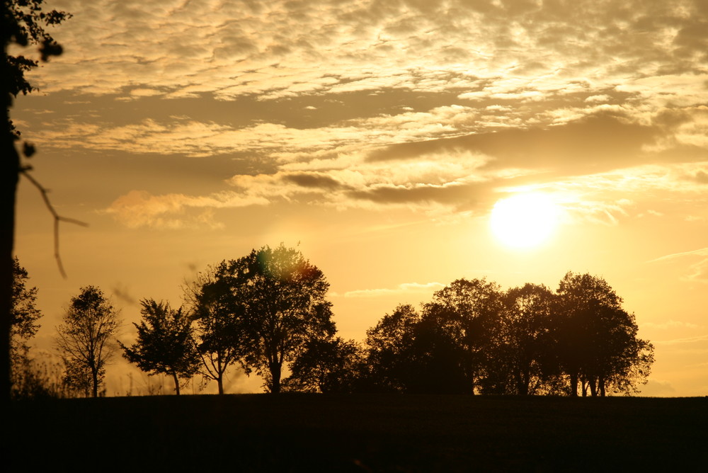 Sonnenuntergang am Elm