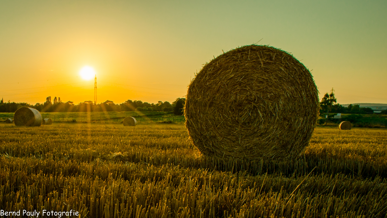 Sonnenuntergang am Engerser Feld