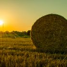 Sonnenuntergang am Engerser Feld