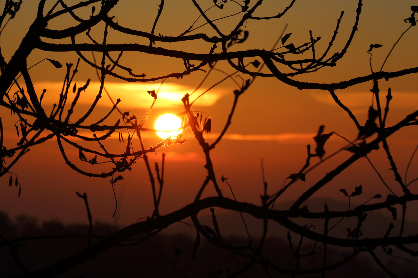 Sonnenuntergang am Essigberg / Kassel