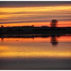 Sonnenuntergang am Etang du Stock