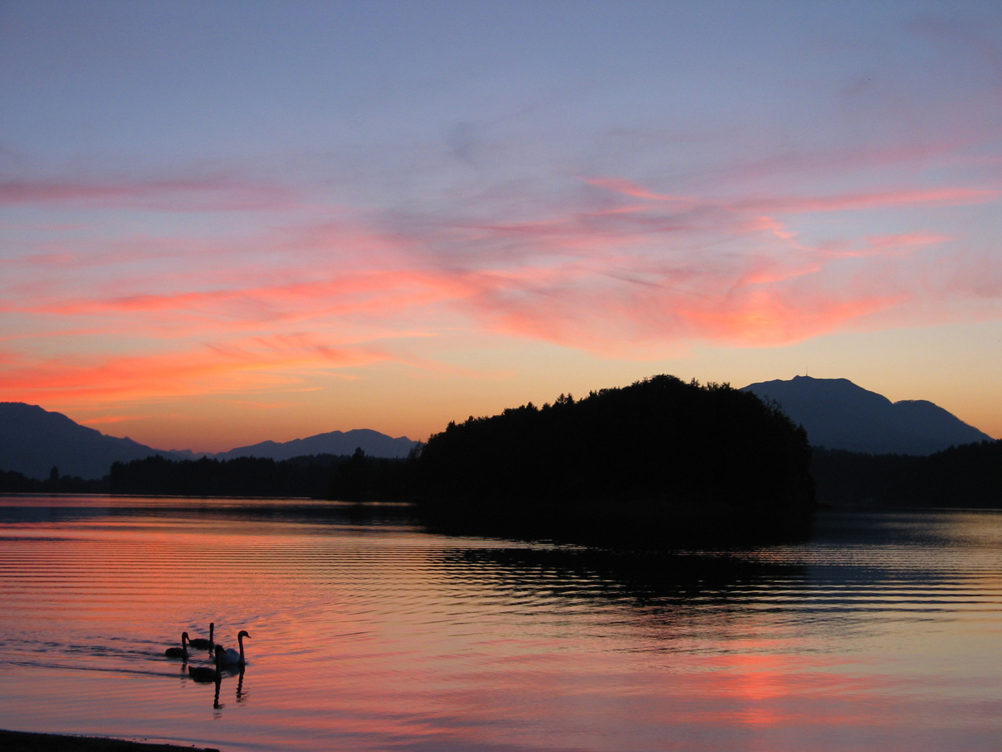 Sonnenuntergang am Faaker See mit Schwänen 2