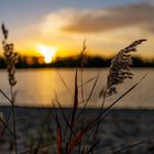 Sonnenuntergang am Falkenberger Kiebitz