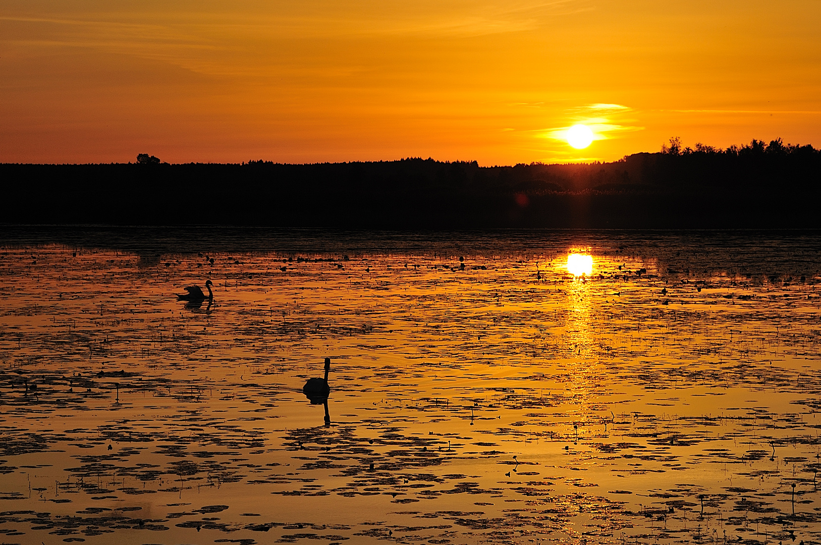 Sonnenuntergang am Federsee