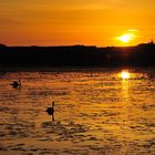 Sonnenuntergang am Federsee