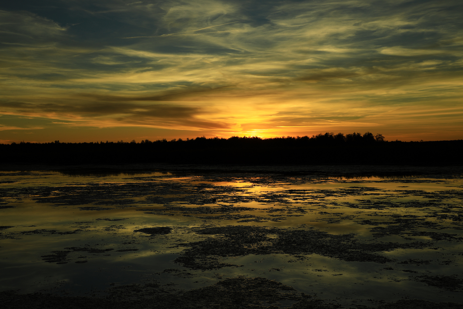 Sonnenuntergang am Federsee