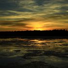 Sonnenuntergang am Federsee