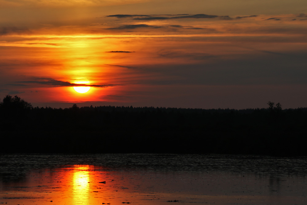 Sonnenuntergang am Federsee