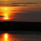 Sonnenuntergang am Federsee