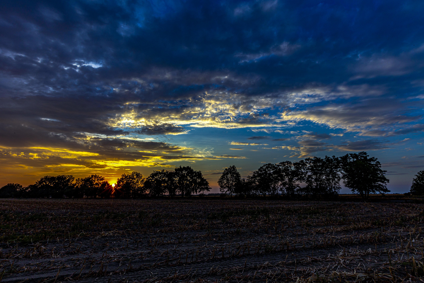 sonnenuntergang am feld