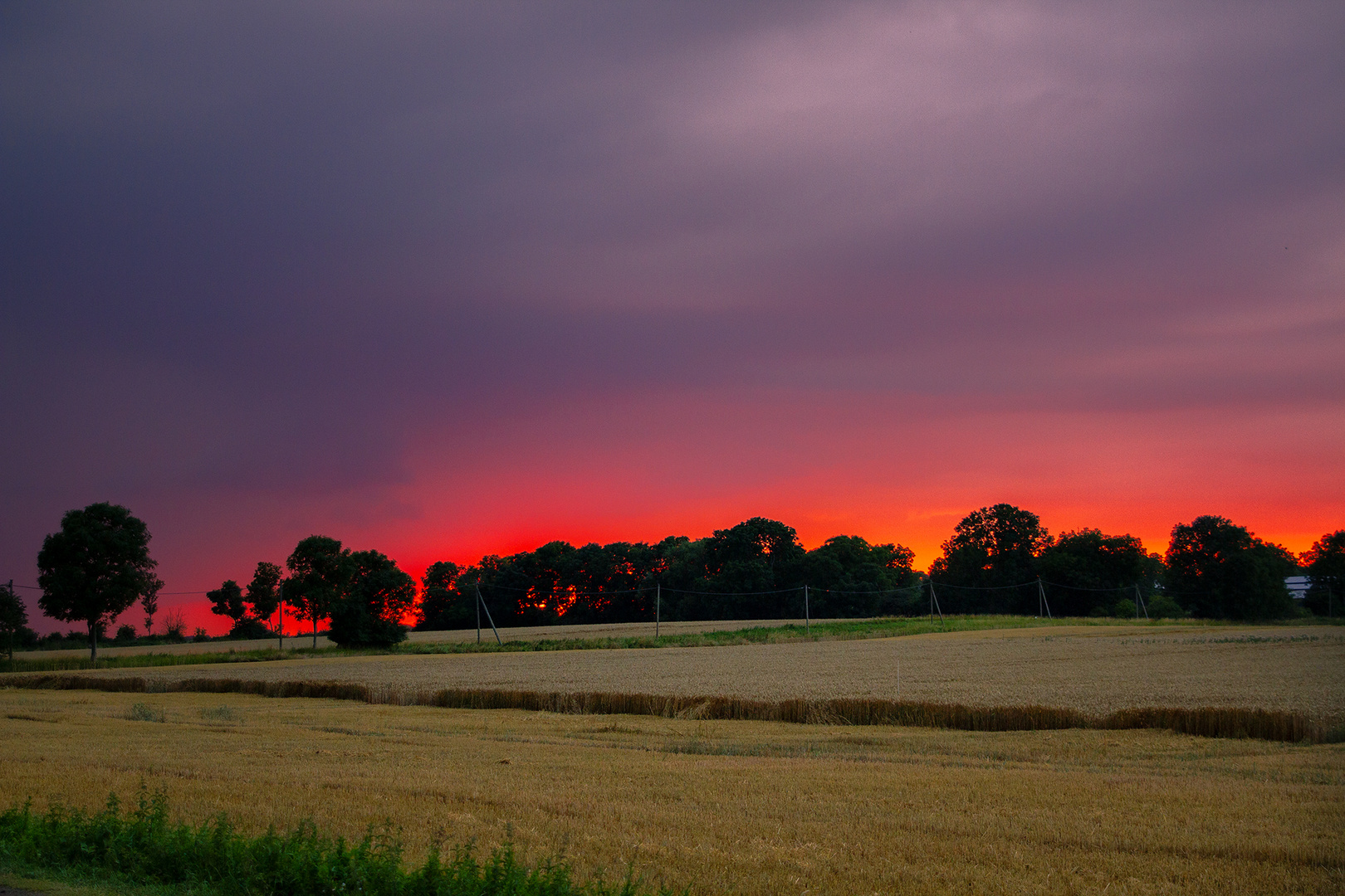 Sonnenuntergang am Feld.