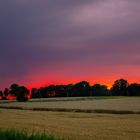 Sonnenuntergang am Feld.