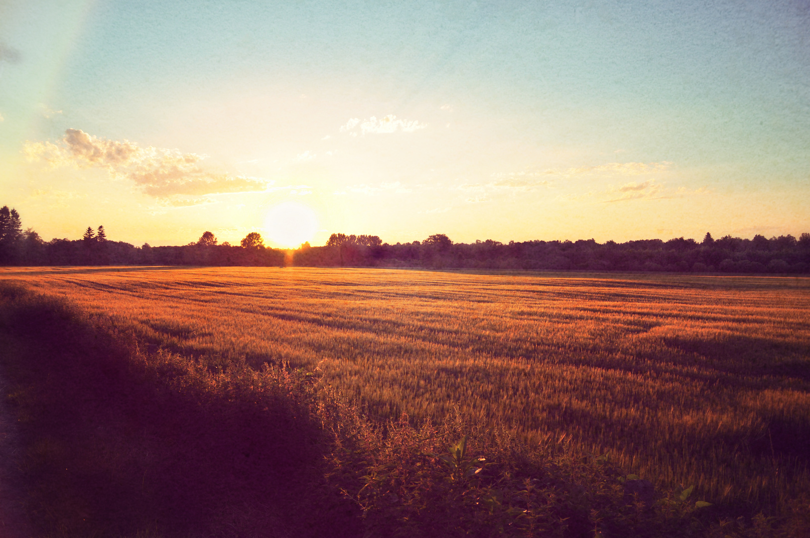 ...Sonnenuntergang am Felderrand