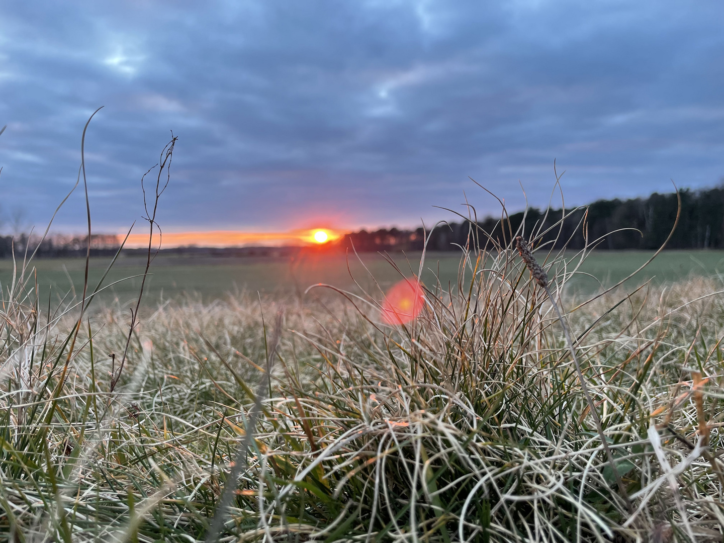 Sonnenuntergang am Feldrand